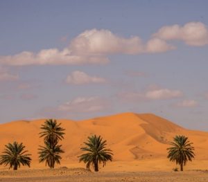 Excursion en Camello en el Desierto Merzouga