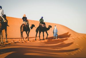 Tour a Marrakech
