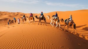 Excursiones por marruecos