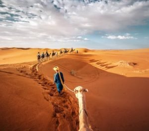 Activadades en Merzouga