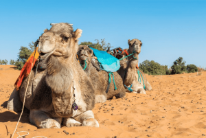 Tours en Marruecos