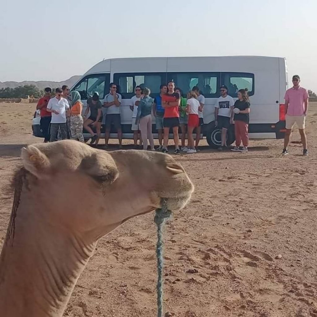 Alquiler de coche con conductor en Marruecos