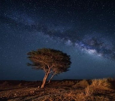 Paseo en camellos merzouga 2 Noches en el Desierto