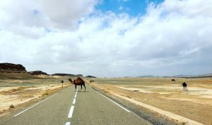 Tour 5 dias marrakech merzouga fez