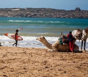 Tour Marrakech Desierto y Playa - Viaje Marruecos 8 días